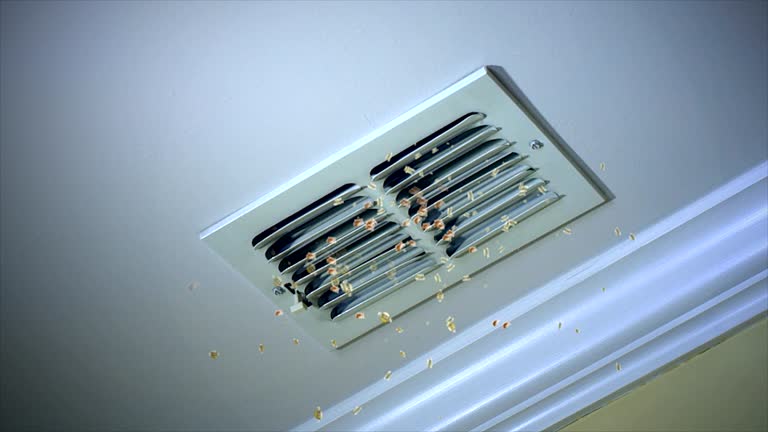 Best Air Duct Cleaning Near Me  in Chandler, AZ